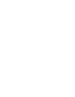 resume_icon